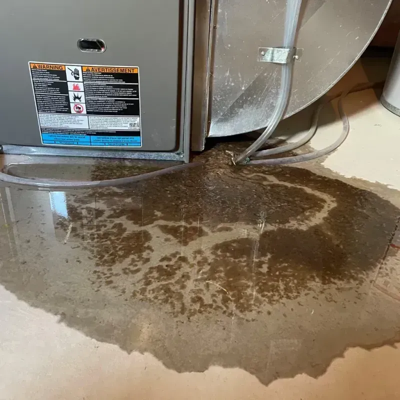 Appliance Leak Cleanup in Crockett County, TX